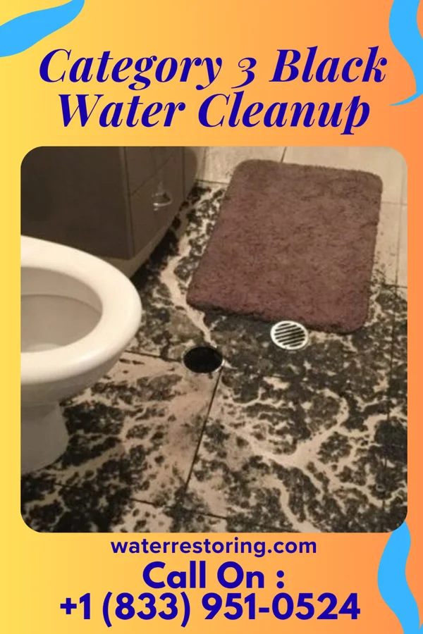 Category 3 Black Water Cleanup in Bushong, KS
