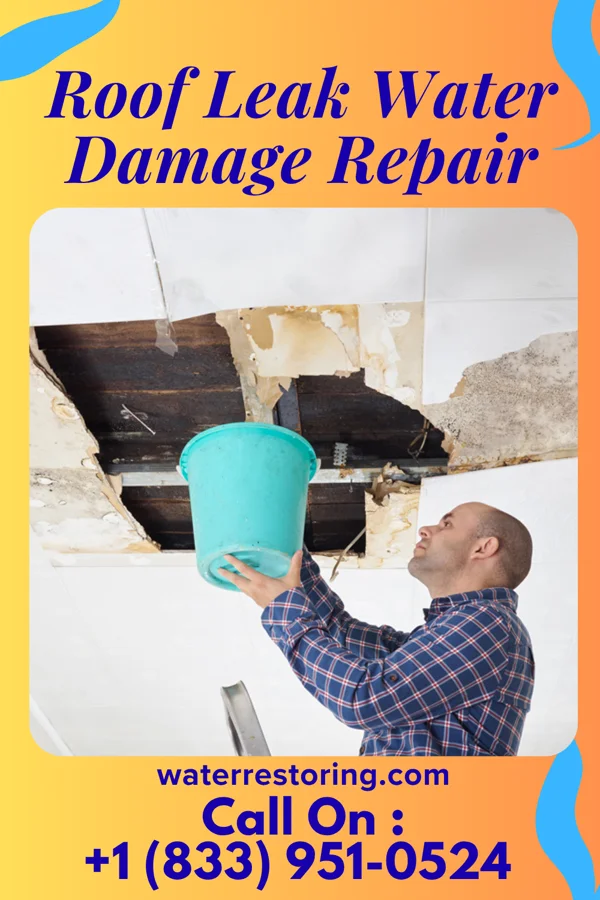 Roof Leak Water Damage Repair in Bushong, KS
