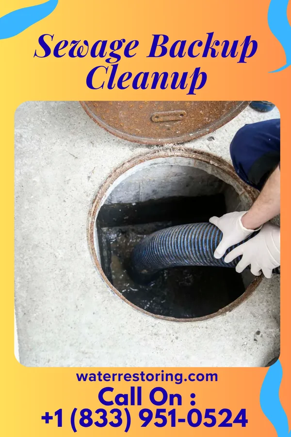 Sewage Backup Cleanup in Bushong, KS